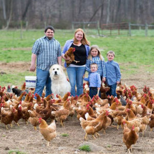 Family Farm Seaside Community - What happened when the chicken